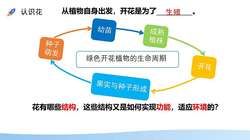 初中生物苏教版（2024）七年级下册4.9.3 植物的繁殖 课件第3页
