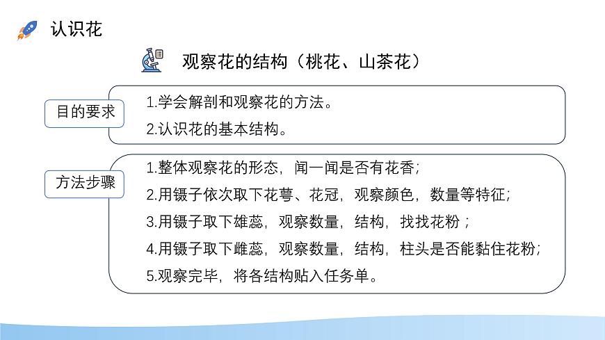 初中生物苏教版（2024）七年级下册4.9.3 植物的繁殖 课件第5页