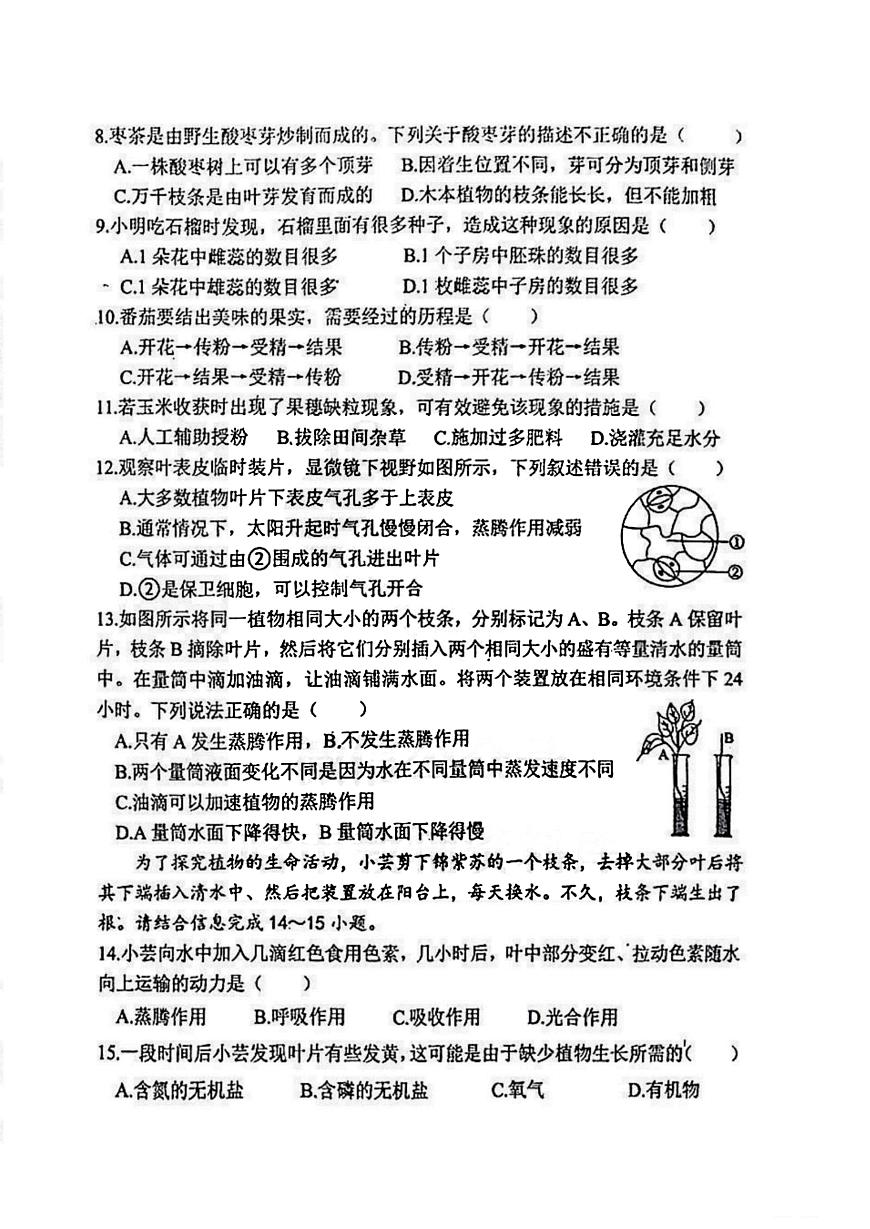 2025年哈尔滨市虹桥中学七年级（下）4月月考生物试卷及答案第2页