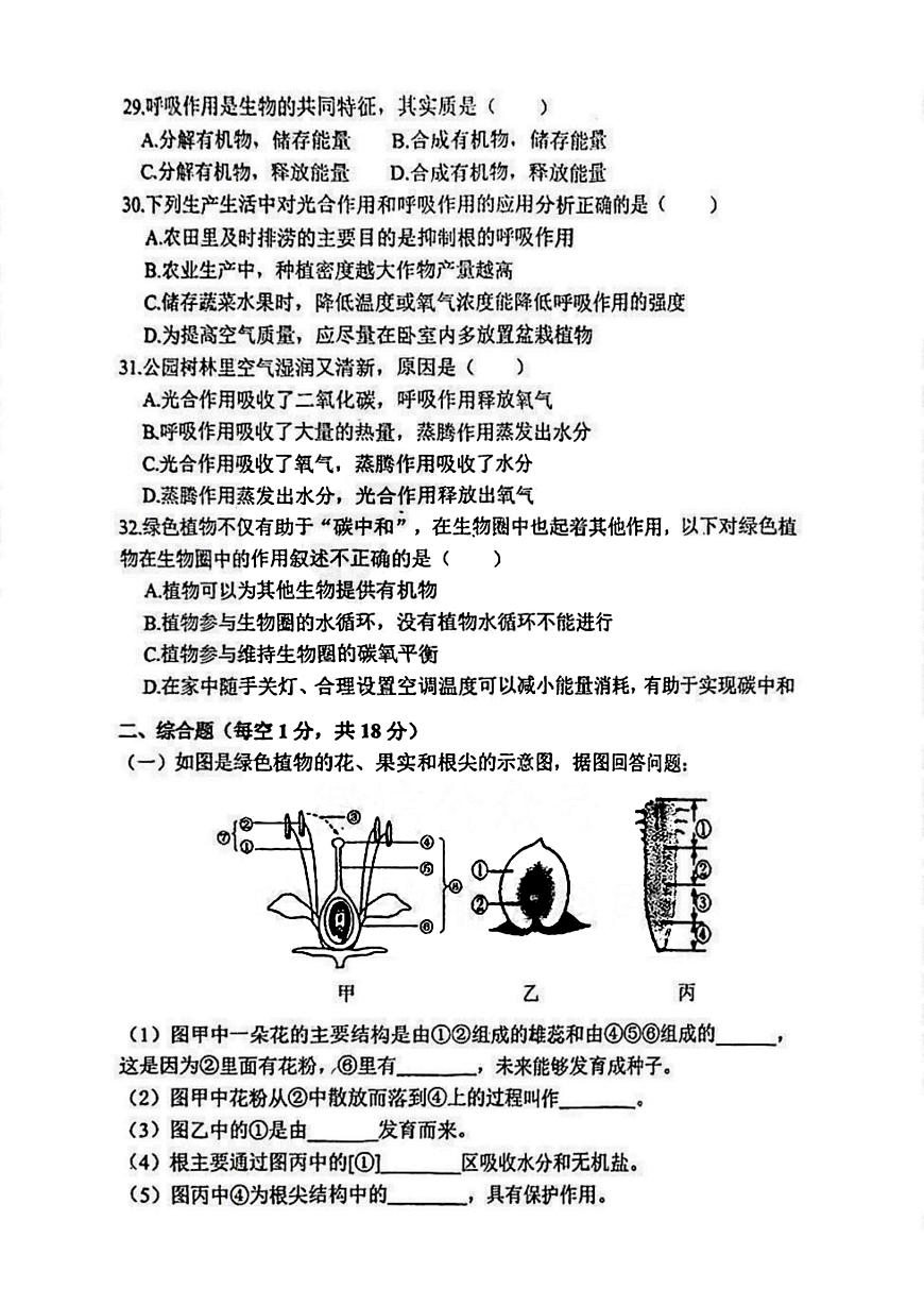 2025年哈尔滨市虹桥中学七年级（下）4月月考生物试卷及答案第3页