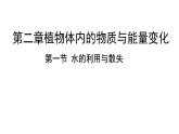 初中生物人教版（2024）七年級下冊3.2.1 水的利用與散失 課件