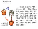 初中生物人教版（2024）七年級下冊3.2.1 水的利用與散失 課件