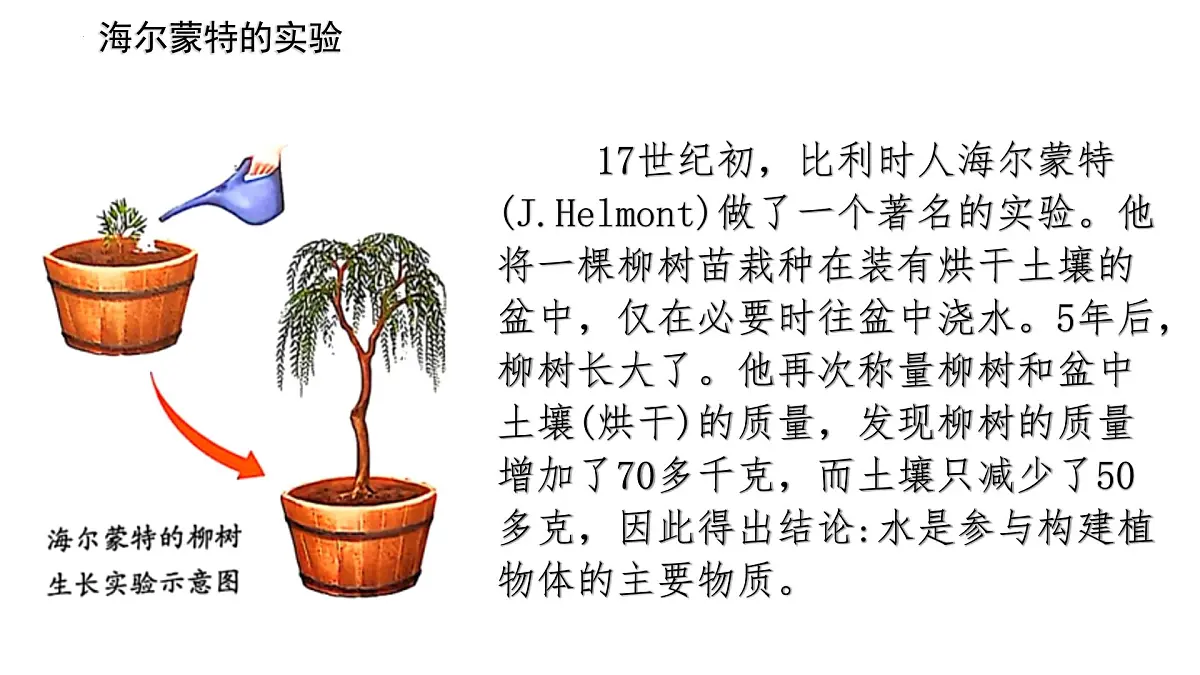 初中生物人教版（2024）七年级下册3.2.1 水的利用与散失 课件第2页