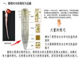 初中生物人教版（2024）七年級下冊3.2.1 水的利用與散失 課件