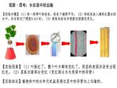 初中生物人教版（2024）七年級下冊3.2.1 水的利用與散失 課件