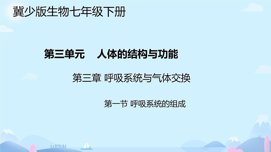 24 第一节+呼吸系统的组成 2025学年七年级下册生物 课件（冀少版2024）第1页