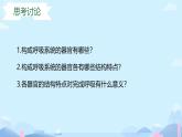 24 第一節(jié)+呼吸系統(tǒng)的組成 2025學(xué)年七年級(jí)下冊(cè)生物 課件（冀少版2024）