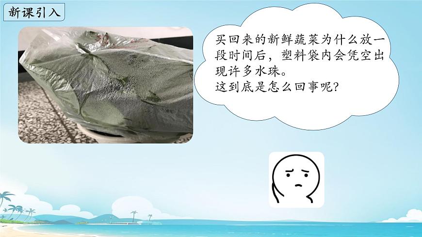 初中生物苏教版（2024）七年级下册4.10.2 生物圈中的水循环 课件第2页