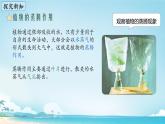 初中生物蘇教版（2024）七年級下冊4.10.2 生物圈中的水循環(huán) 課件