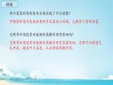 初中生物蘇教版（2024）七年級下冊4.10.2 生物圈中的水循環(huán) 課件