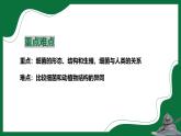 3.3.2 細菌（課件）-2024-2025學年六年級生物下冊（魯科版五四學制2024）