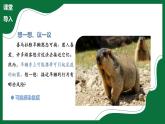3.3.2 細菌（課件）-2024-2025學年六年級生物下冊（魯科版五四學制2024）