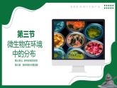 3.1 微生物在環(huán)境中的分布（課件）-2024-2025學(xué)年六年級(jí)生物下冊(cè)（魯科版五四學(xué)制2024）