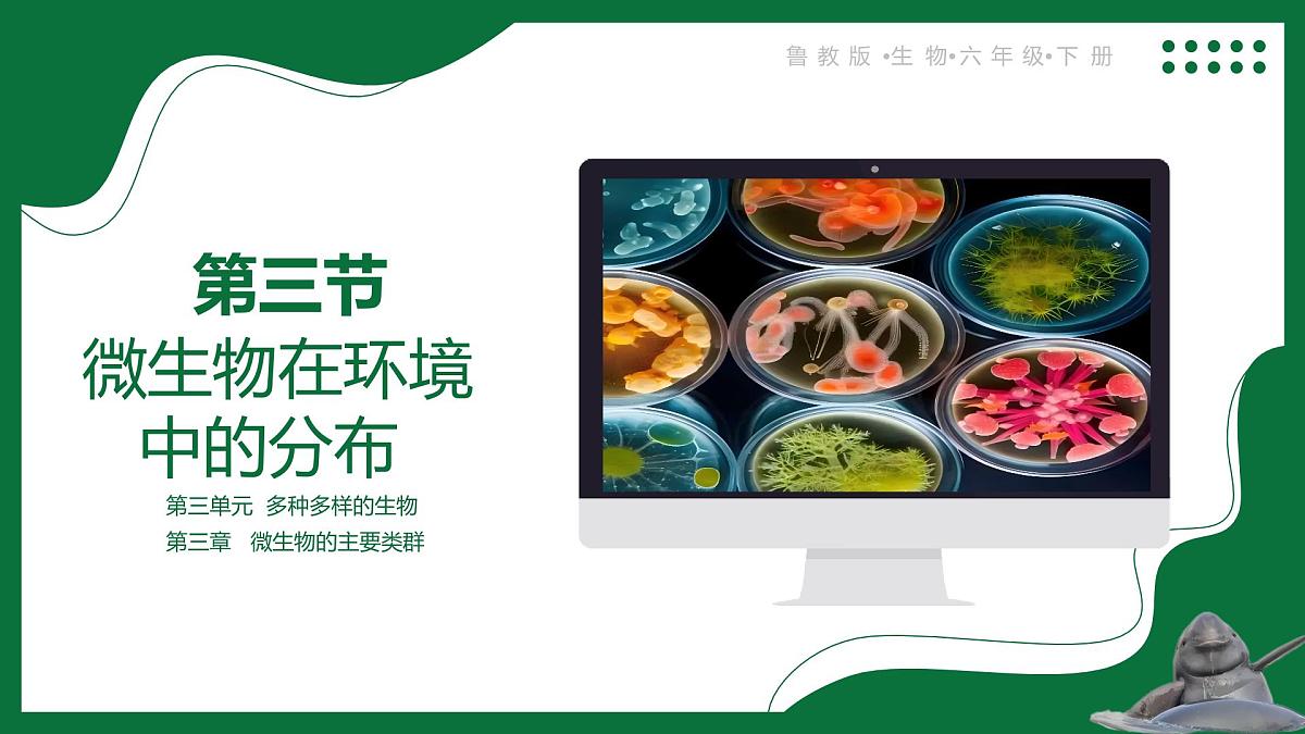 3.1 微生物在环境中的分布（课件）-2024-2025学年六年级生物下册（鲁科版五四学制2024）第1页
