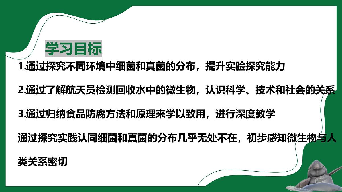 3.1 微生物在环境中的分布（课件）-2024-2025学年六年级生物下册（鲁科版五四学制2024）第2页