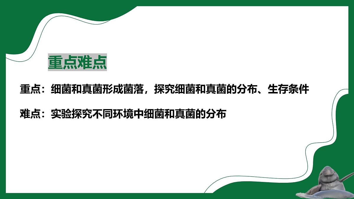 3.1 微生物在环境中的分布（课件）-2024-2025学年六年级生物下册（鲁科版五四学制2024）第3页
