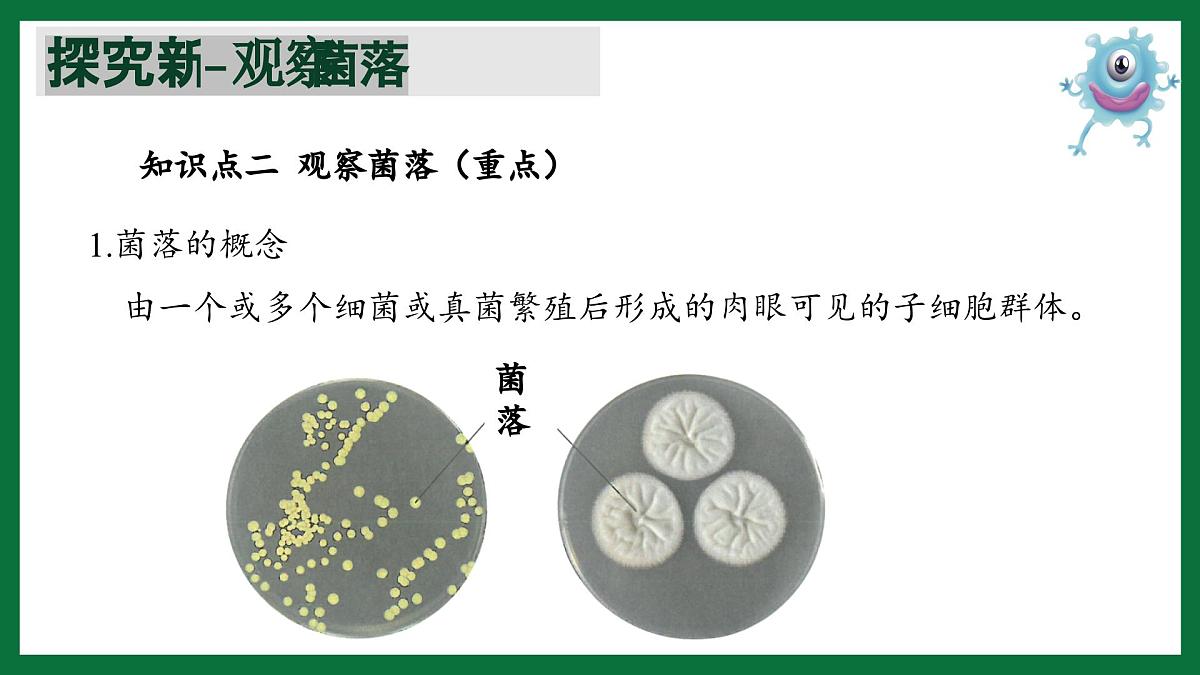 3.1 微生物在环境中的分布（课件）-2024-2025学年六年级生物下册（鲁科版五四学制2024）第6页