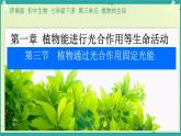 初中生物濟南版（2024）七年級下冊3.1.3  植物通過光合作用固定光能 課件