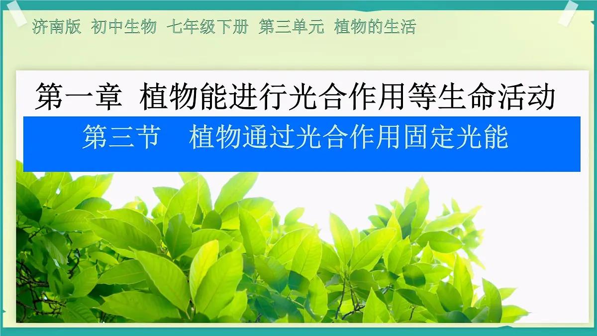 初中生物济南版（2024）七年级下册3.1.3 植物通过光合作用固定光能 课件第1页