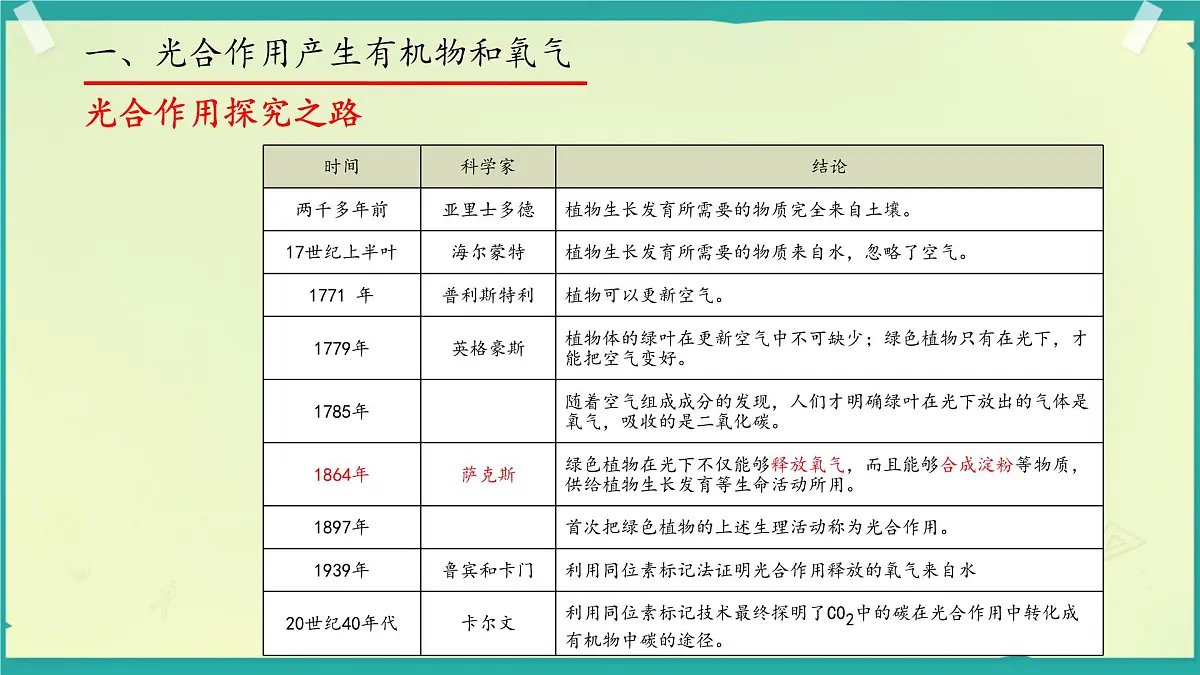 初中生物济南版（2024）七年级下册3.1.3 植物通过光合作用固定光能 课件第3页