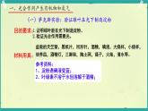 初中生物濟南版（2024）七年級下冊3.1.3  植物通過光合作用固定光能 課件