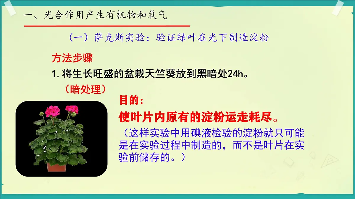 初中生物济南版（2024）七年级下册3.1.3 植物通过光合作用固定光能 课件第5页