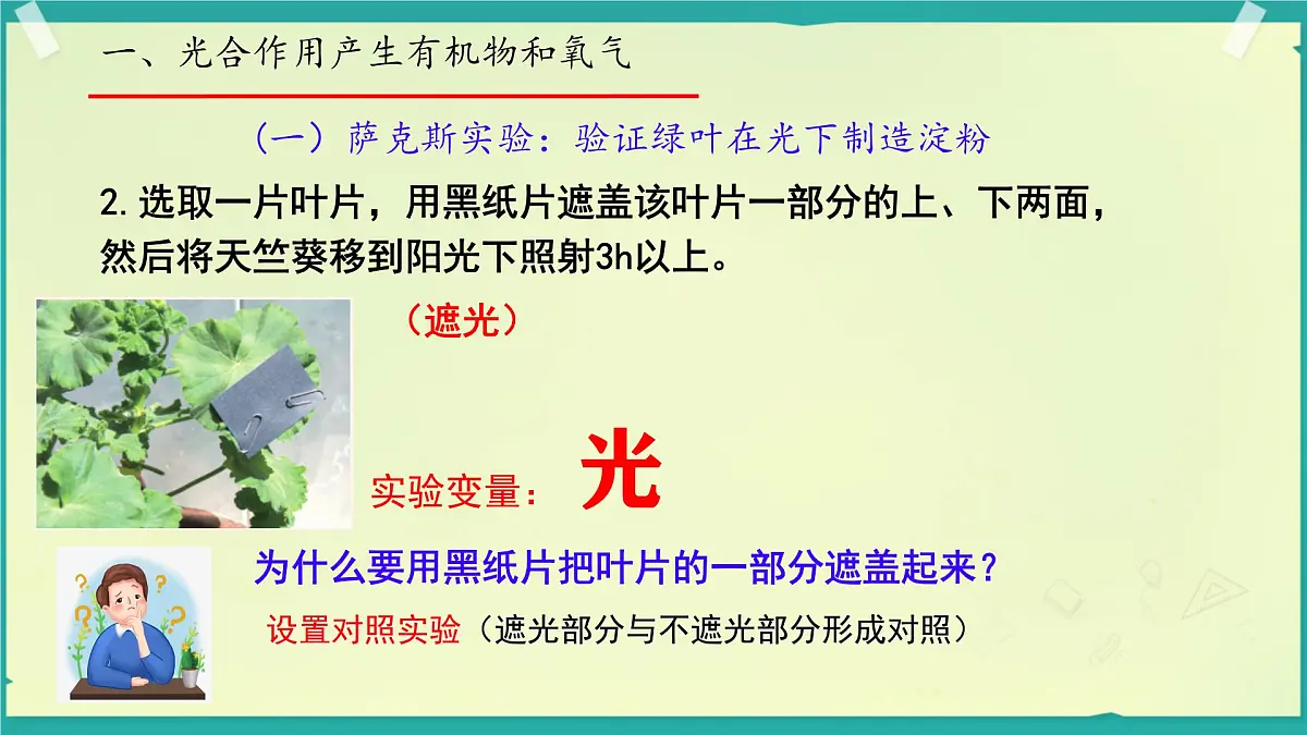 初中生物济南版（2024）七年级下册3.1.3 植物通过光合作用固定光能 课件第6页