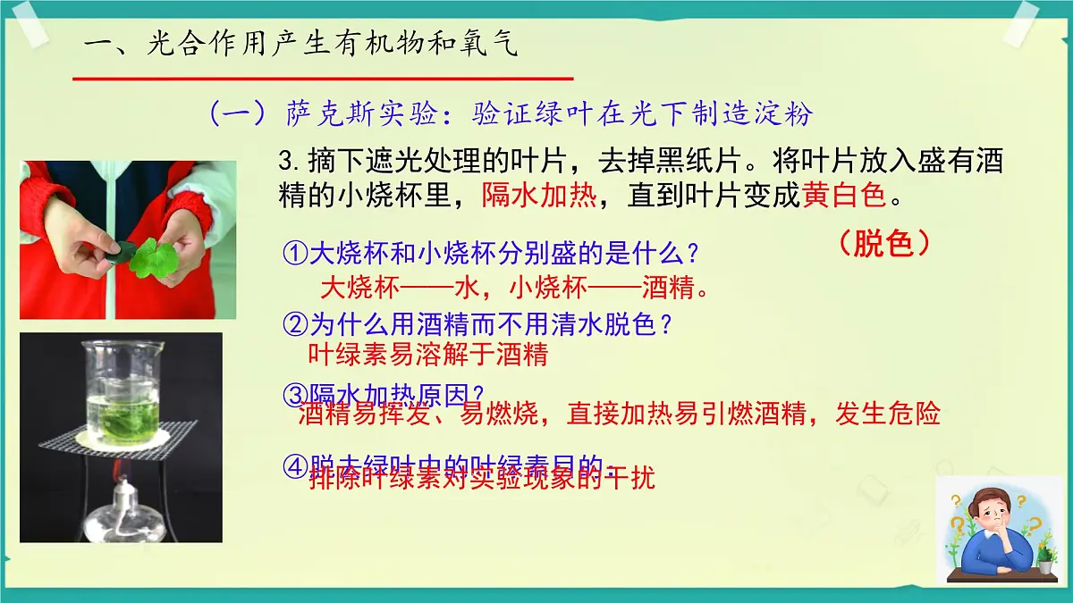 初中生物济南版（2024）七年级下册3.1.3 植物通过光合作用固定光能 课件第7页