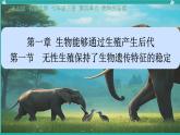 初中生物濟南版（2024）七年級下冊4.1.1  無性生殖保持了生物遺傳特征的穩(wěn)定 課件