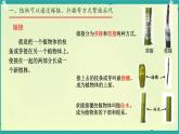 初中生物濟南版（2024）七年級下冊4.1.1  無性生殖保持了生物遺傳特征的穩(wěn)定 課件