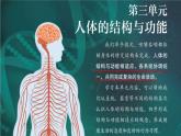 初中 生物 冀少版（2024） 七年級下冊3.1.1 消化系統(tǒng)的組成 課件