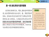 初中 生物 冀少版（2024） 七年級下冊3.1.1 消化系統(tǒng)的組成 課件