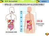 初中 生物 冀少版（2024） 七年級下冊3.1.1 消化系統(tǒng)的組成 課件