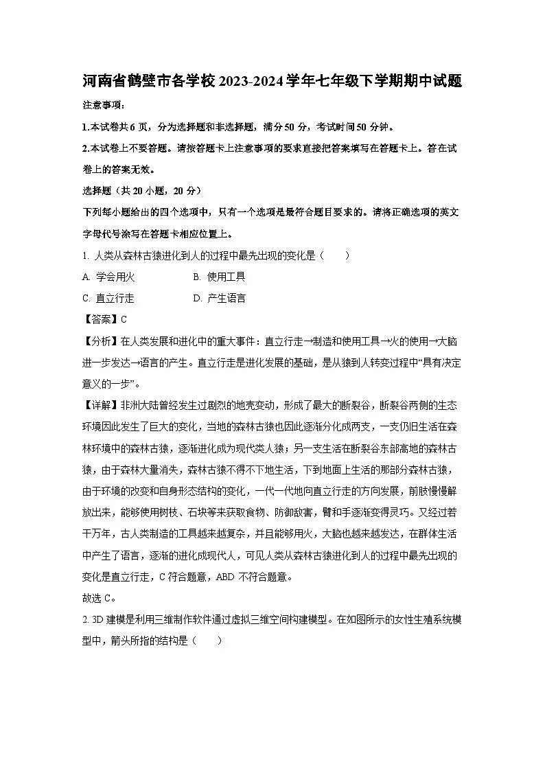 河南省鹤壁市各学校2023-2024学年七年级下学期期中生物试卷（解析版）第1页