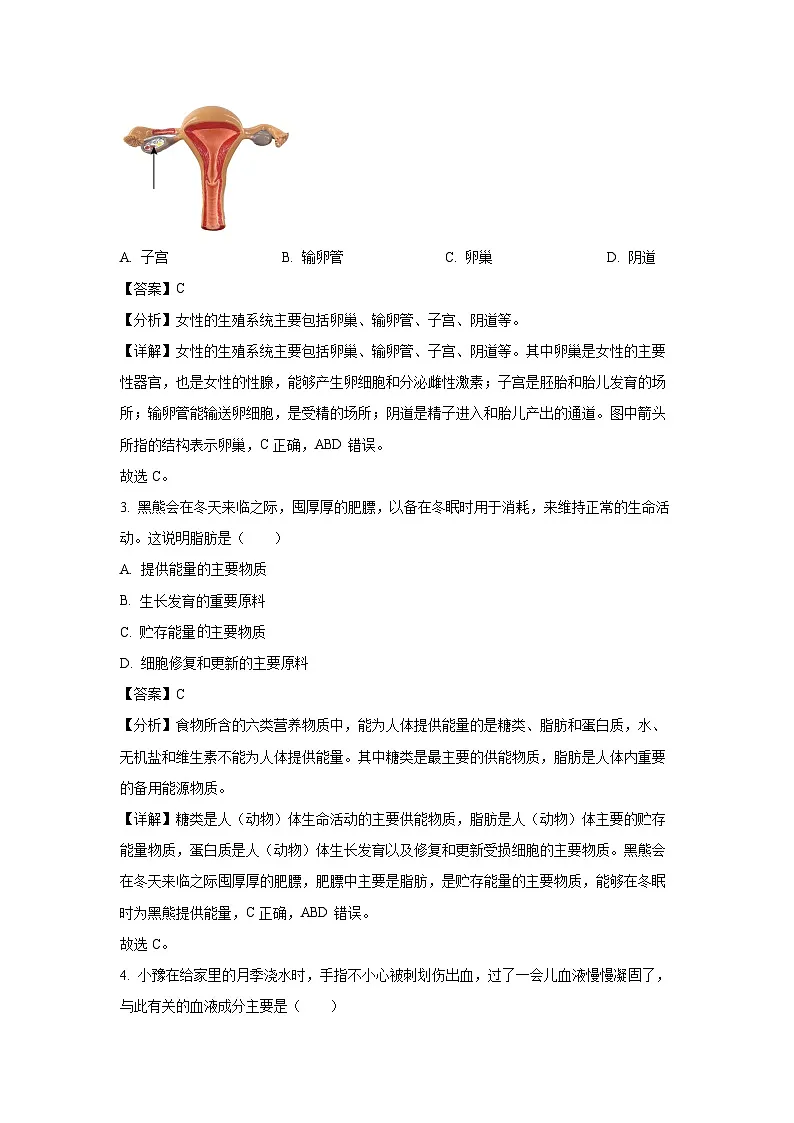 河南省鹤壁市各学校2023-2024学年七年级下学期期中生物试卷（解析版）第2页