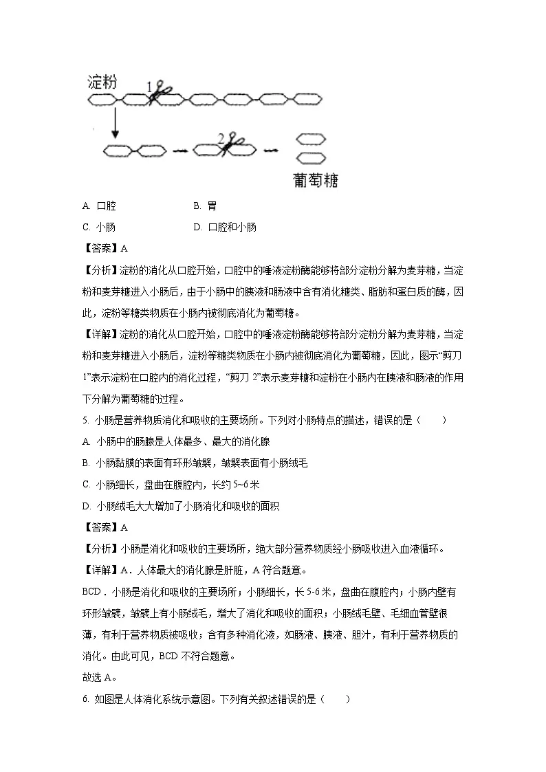 河北省唐山市丰润区2023-2024学年七年级下学期期中生物试卷（解析版）第3页