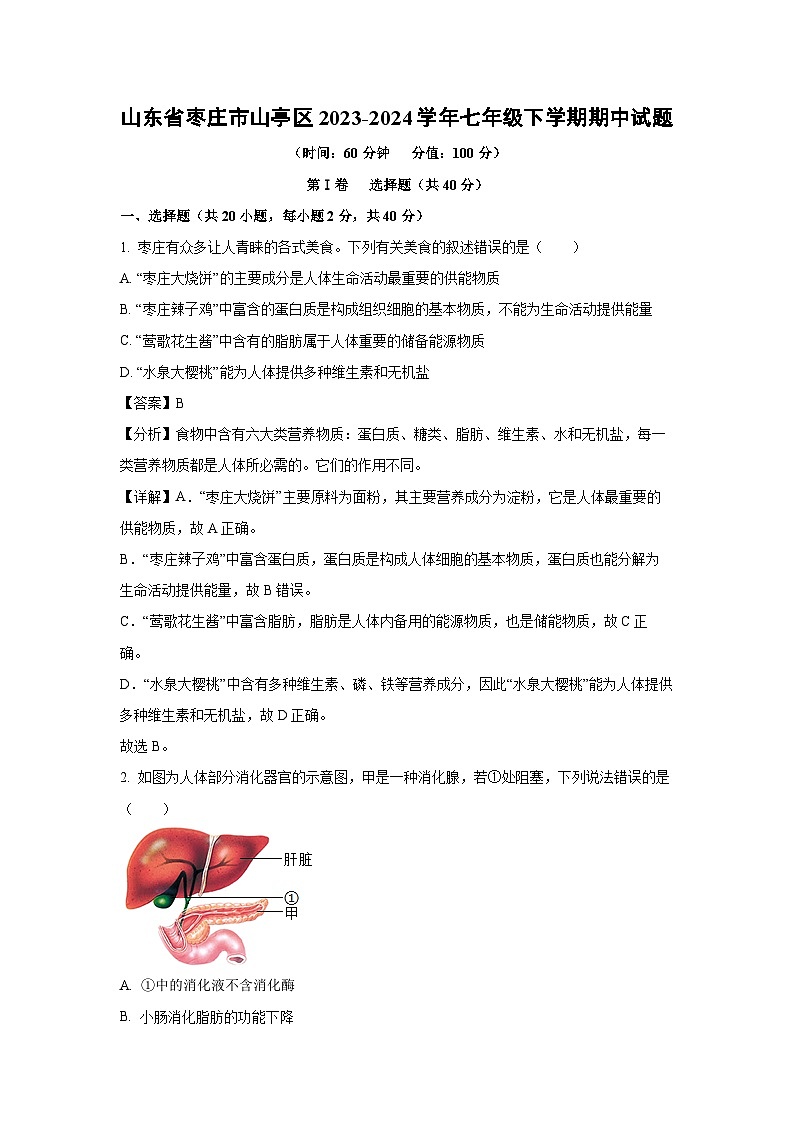山东省枣庄市山亭区2023-2024学年七年级下学期期中生物试卷（解析版）第1页