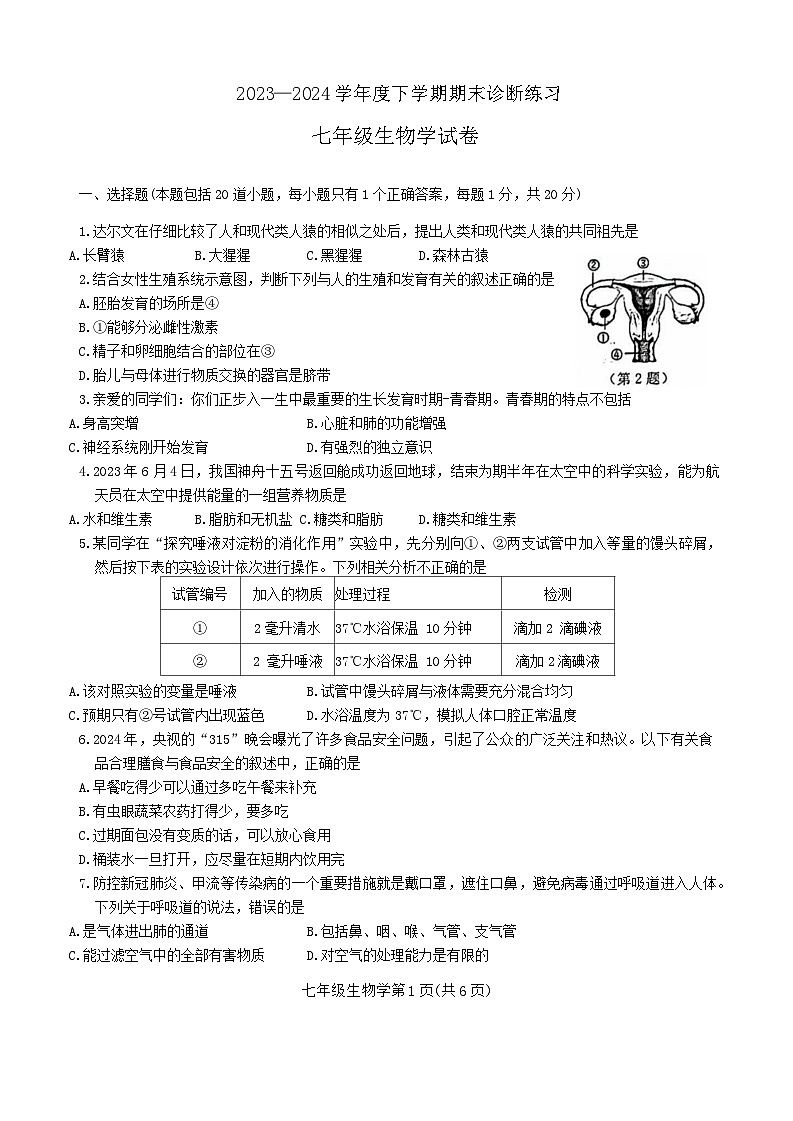 吉林省长春市高新区2023-2024学年七年级下学期期末考试生物试题第1页