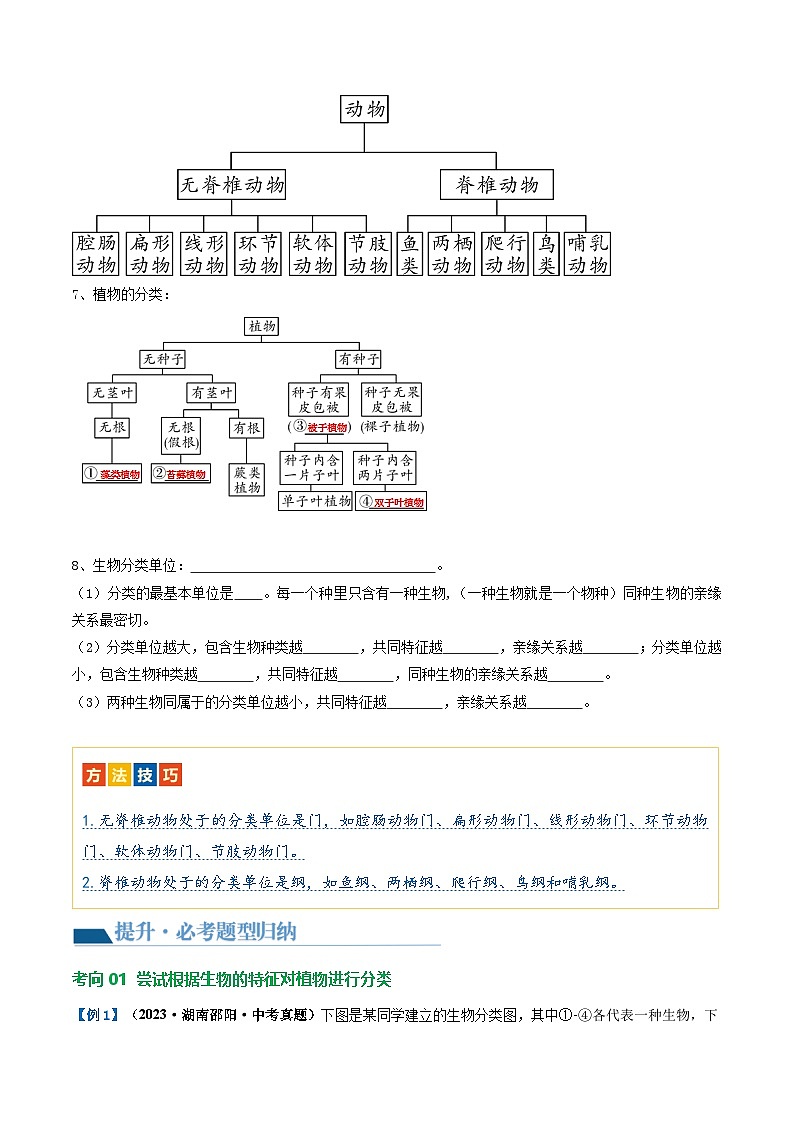 初中生物中考专题复习专题19 生物多样性及其保护讲义第3页
