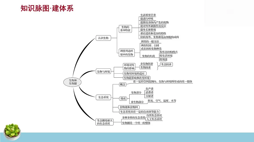 人教版七年级上册生物期末总复习课件第4页