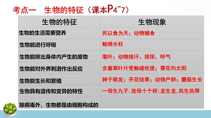 人教版七年级上册生物期末总复习课件第6页