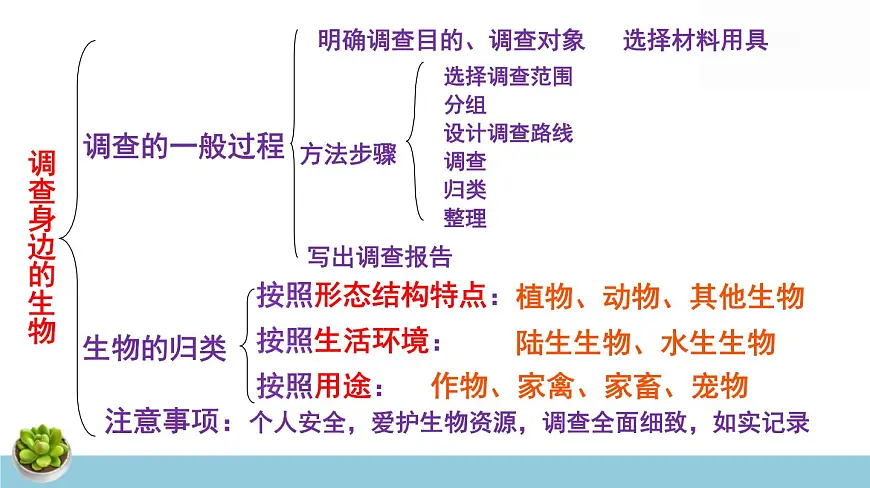 人教版七年级上册生物期末总复习课件第7页