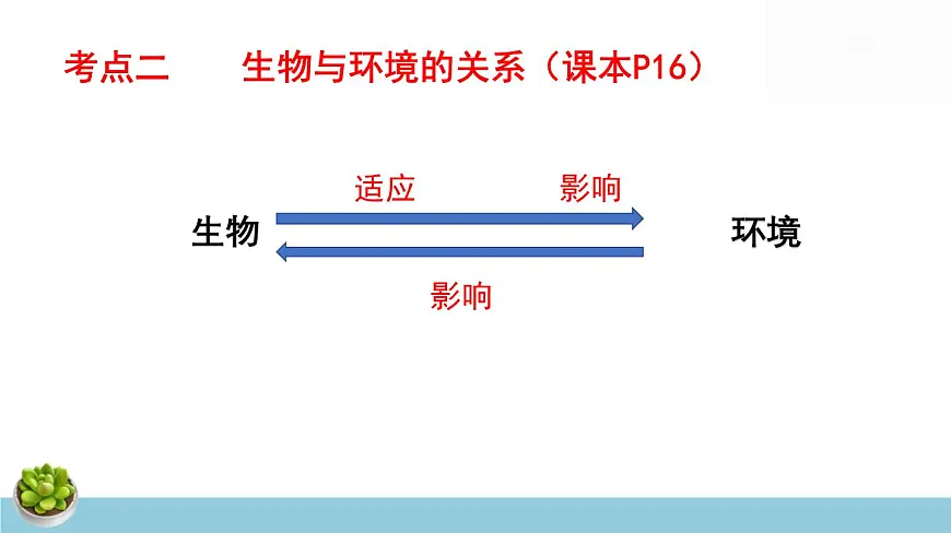 人教版七年级上册生物期末总复习课件第8页