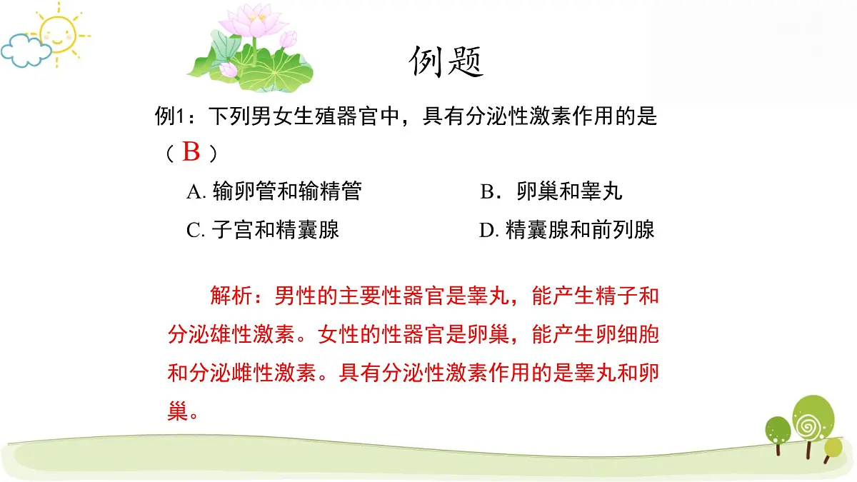 人教版七年级下册生物期末复习课件第6页