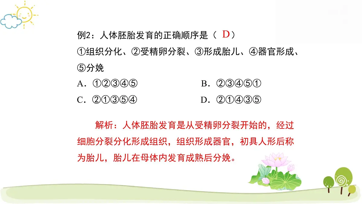 人教版七年级下册生物期末复习课件第7页