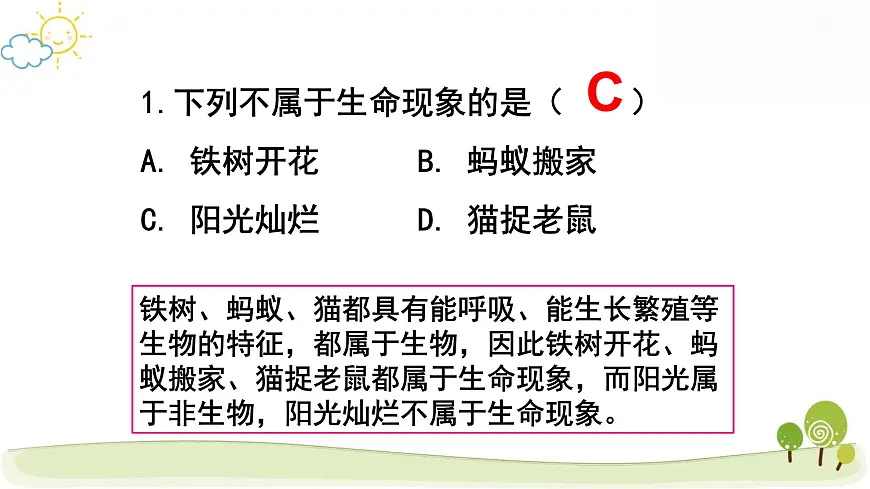人教版七年级上册生物期末复习课件第3页