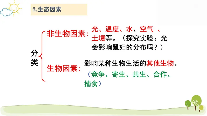 人教版七年级上册生物期末复习课件第6页