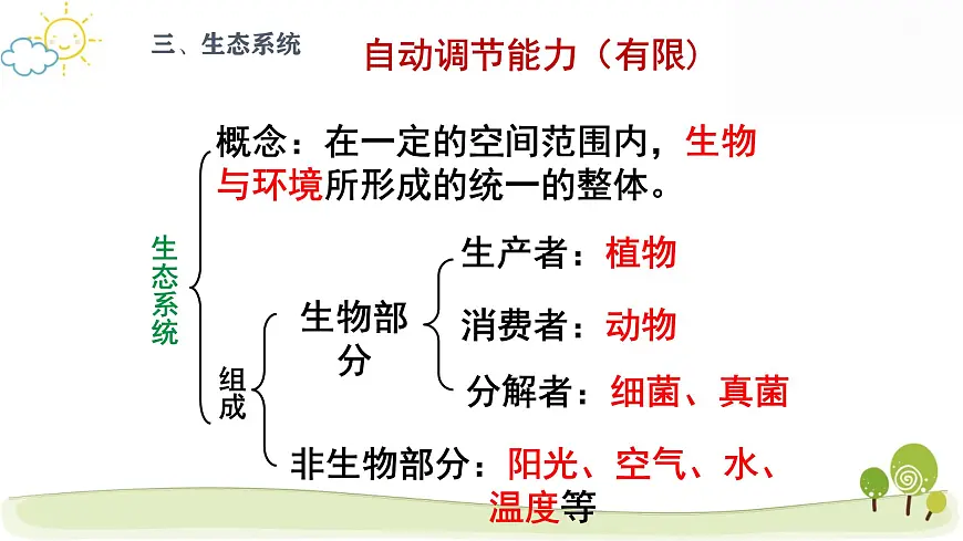 人教版七年级上册生物期末复习课件第8页