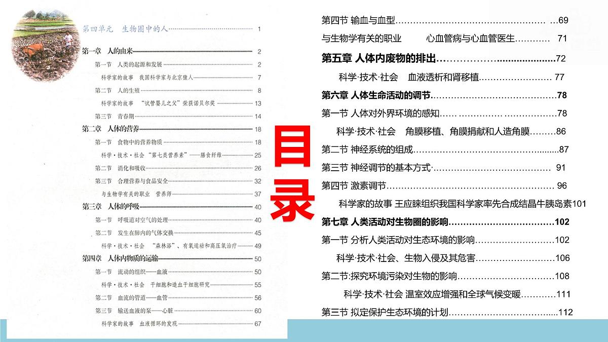 人教版七年级下册生物期末复习课件含期末综合测试第2页