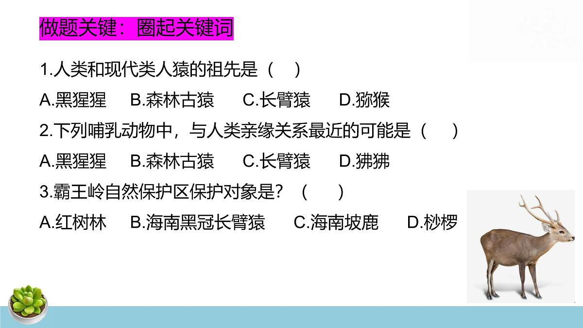人教版七年级下册生物期末复习课件含期末综合测试第5页